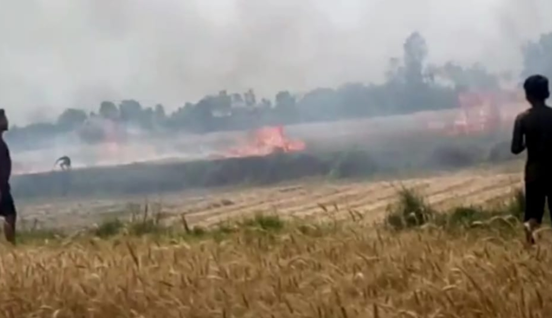 खड़ी फसल में लगी आग लगभग 5 से 7 एकड़ गेहू जल कर राख