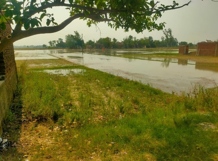 सरदारनगर ब्लॉक के विशंभरपुर मे नहर टूटने से गाव के खेतों में भरा पानी
